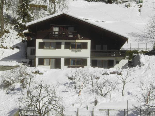Gaestehaus Andrea Schruns Bagian luar foto